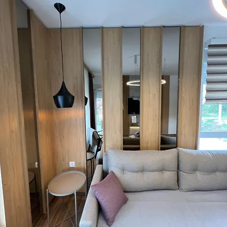 Verde Apartman Sokobanja Exterior photo